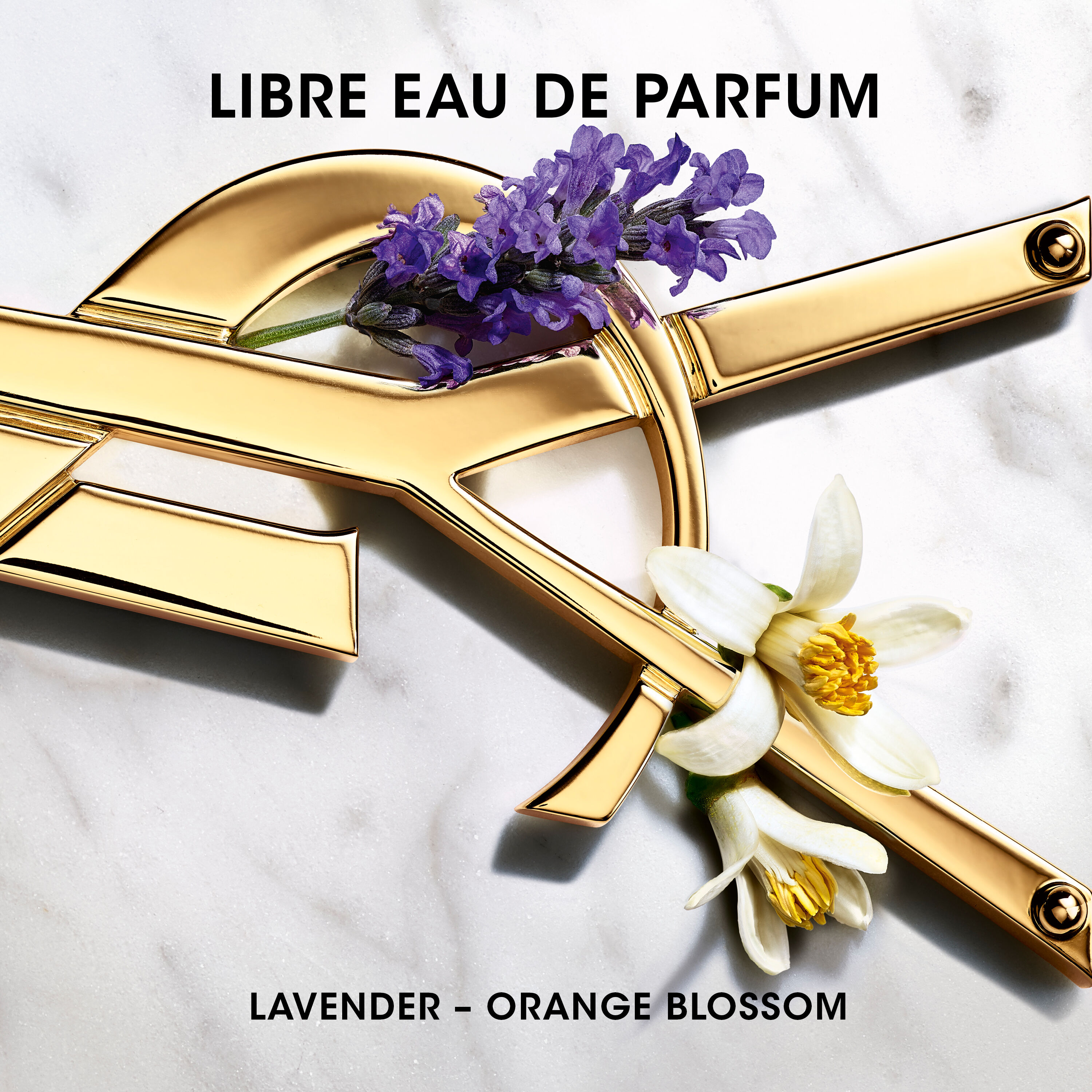 Le vestiaire des parfums 2025 discovery set